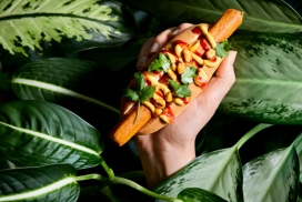 Een 100% plantaardige hotdog